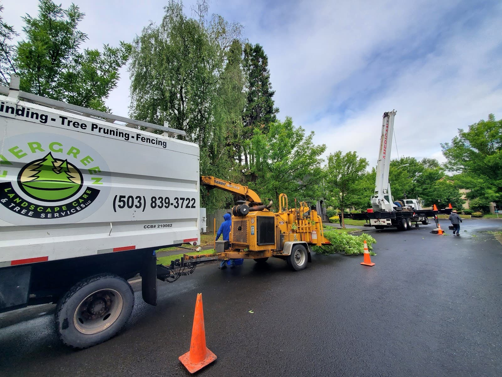 Evergreen Landscape Care & Tree Services