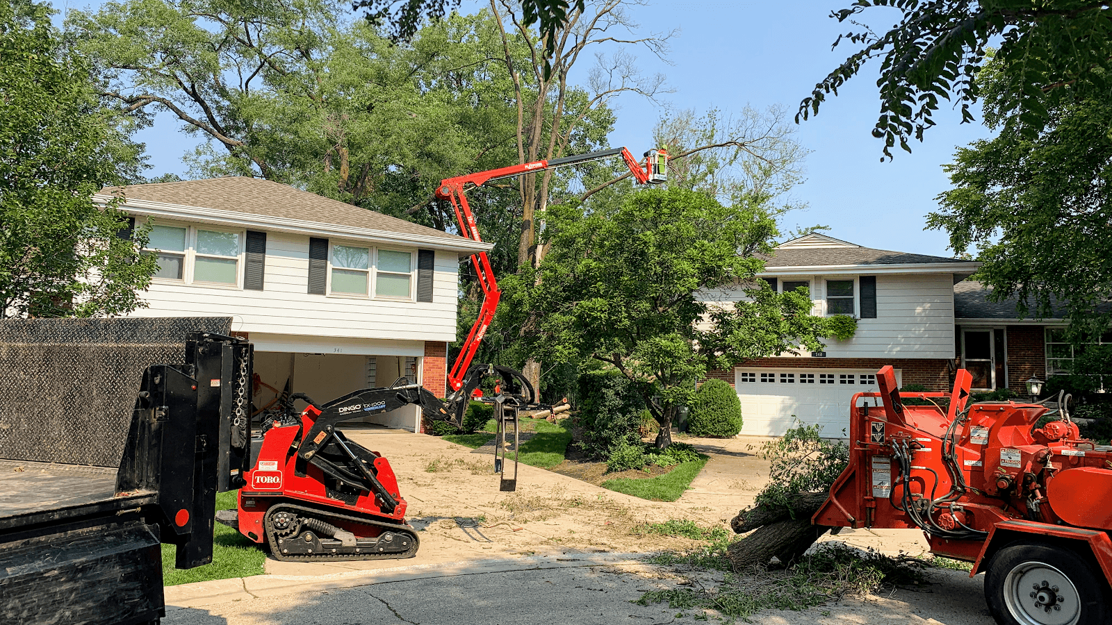 D Arbor Professionals, Tree Service