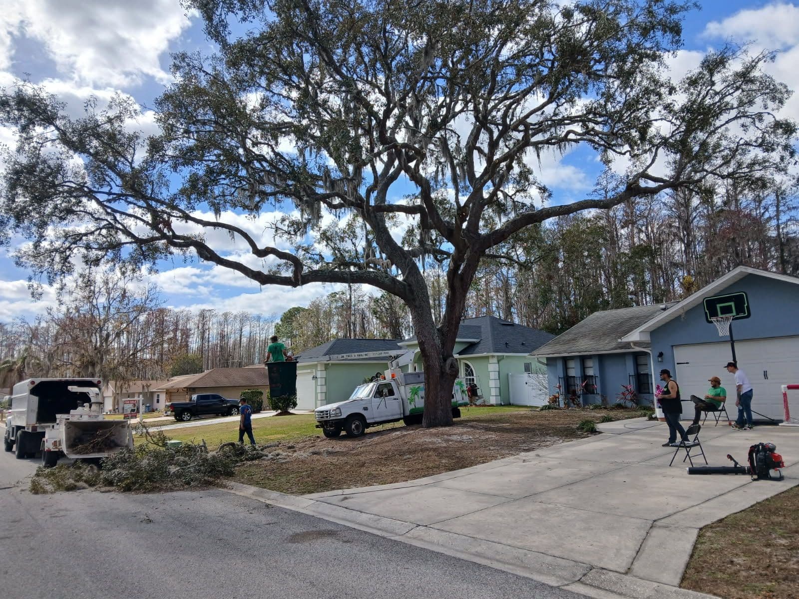 K and T Tree Service