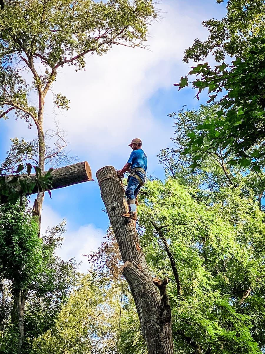 Ryan's Tree Service, LLC