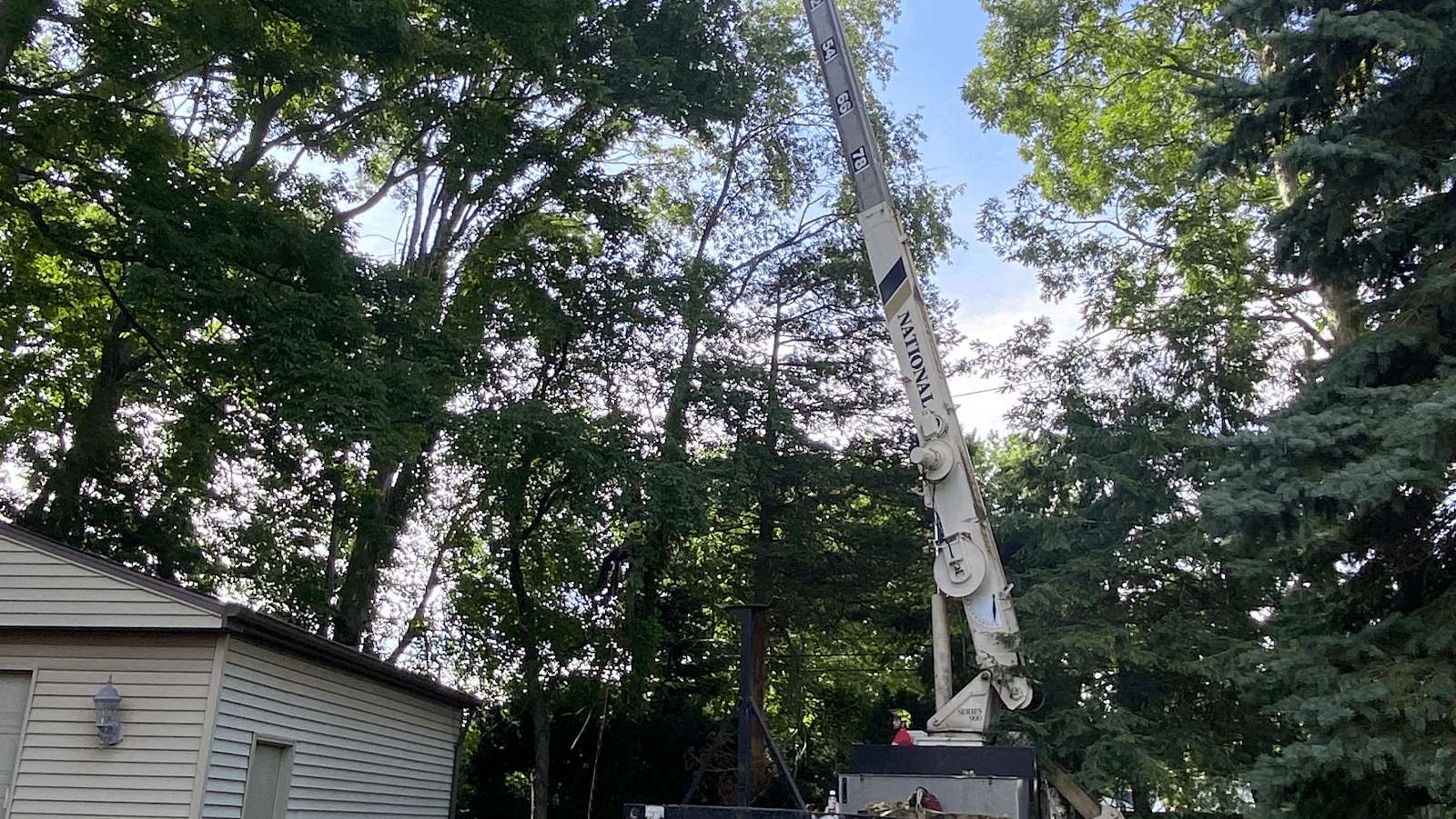 A&S TREE SERVICE,LLC