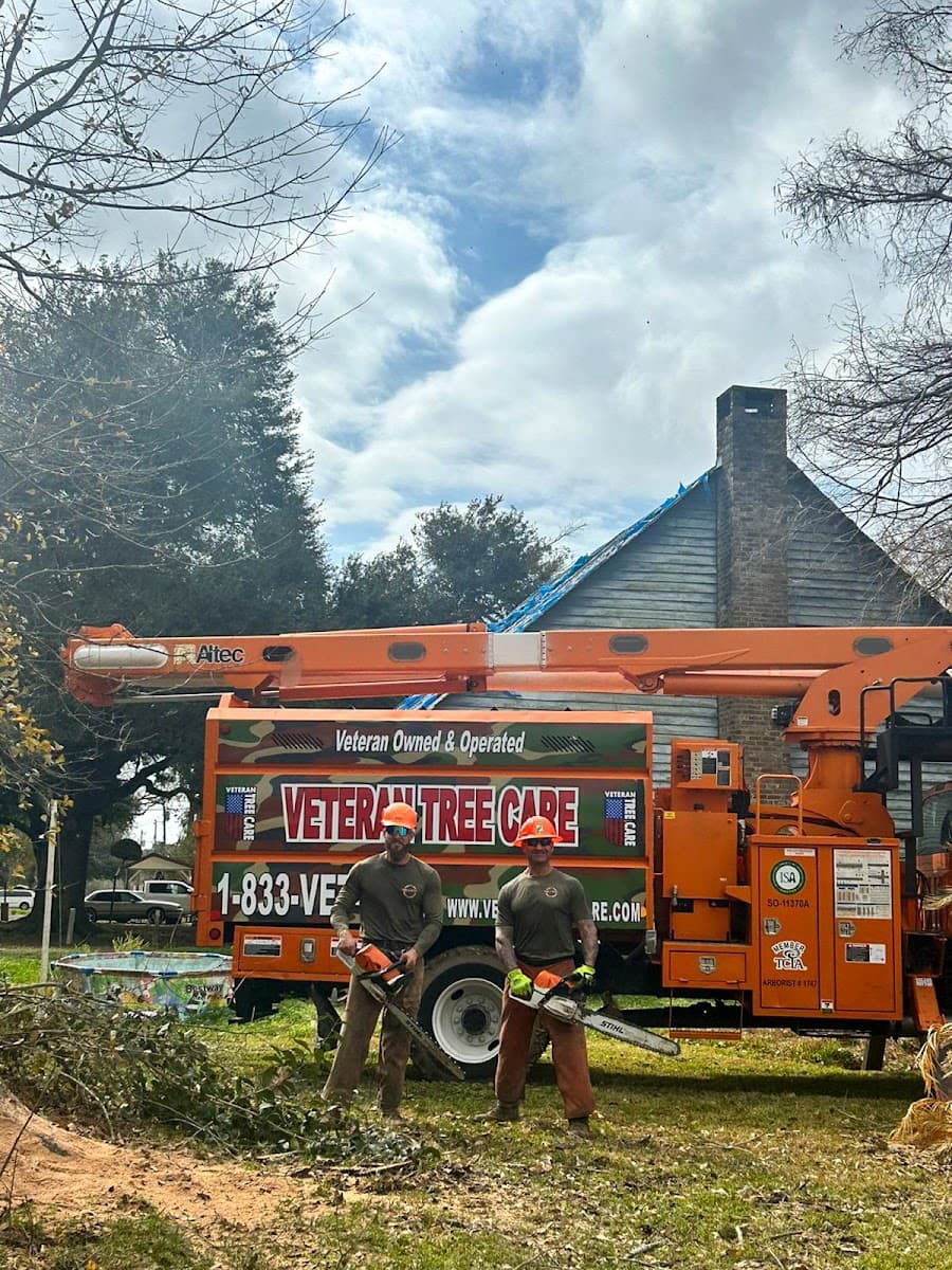 Veteran Tree Care