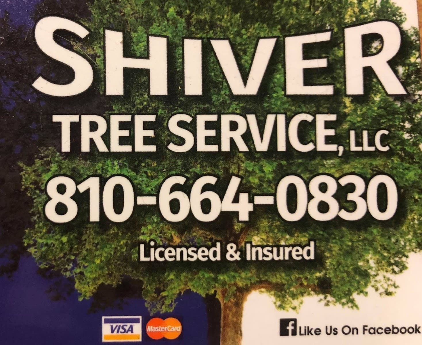 Shiver Tree Service