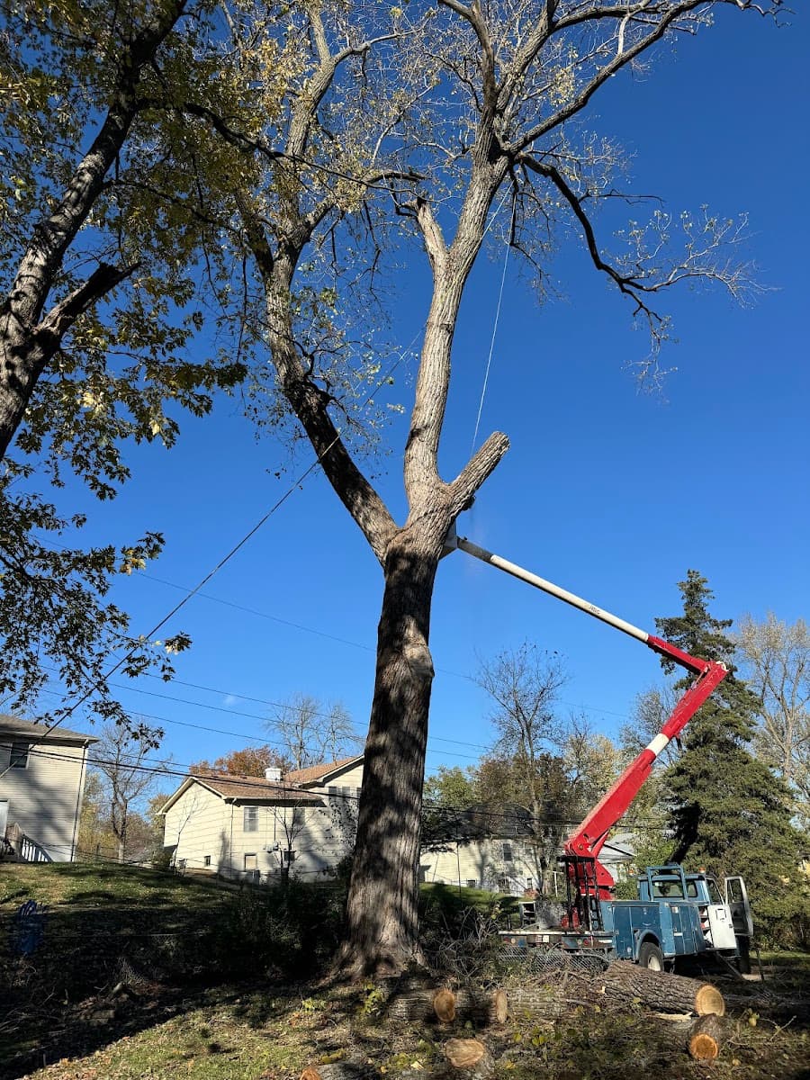 KC Omar Tree Services