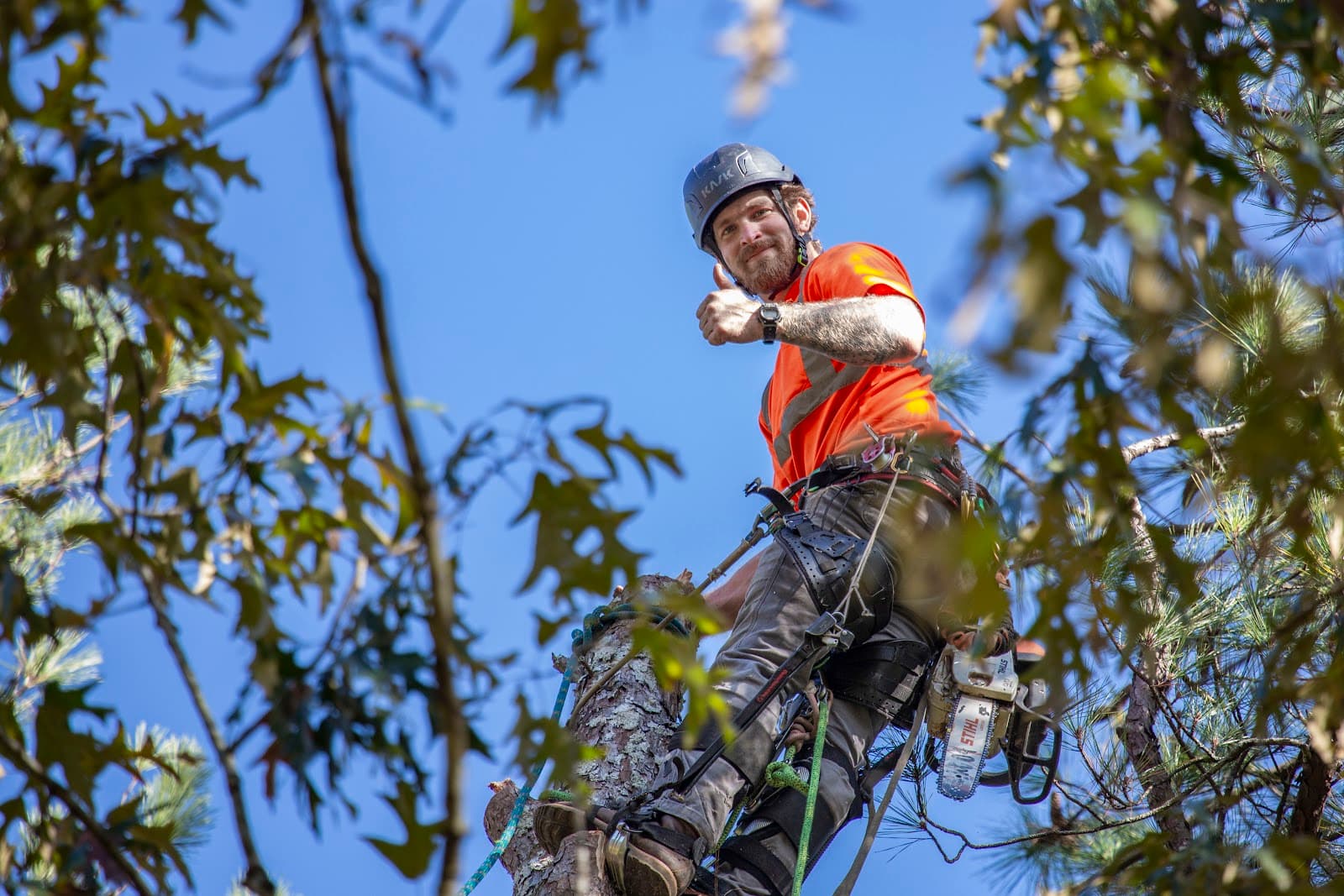 Connelly Tree Company LLC