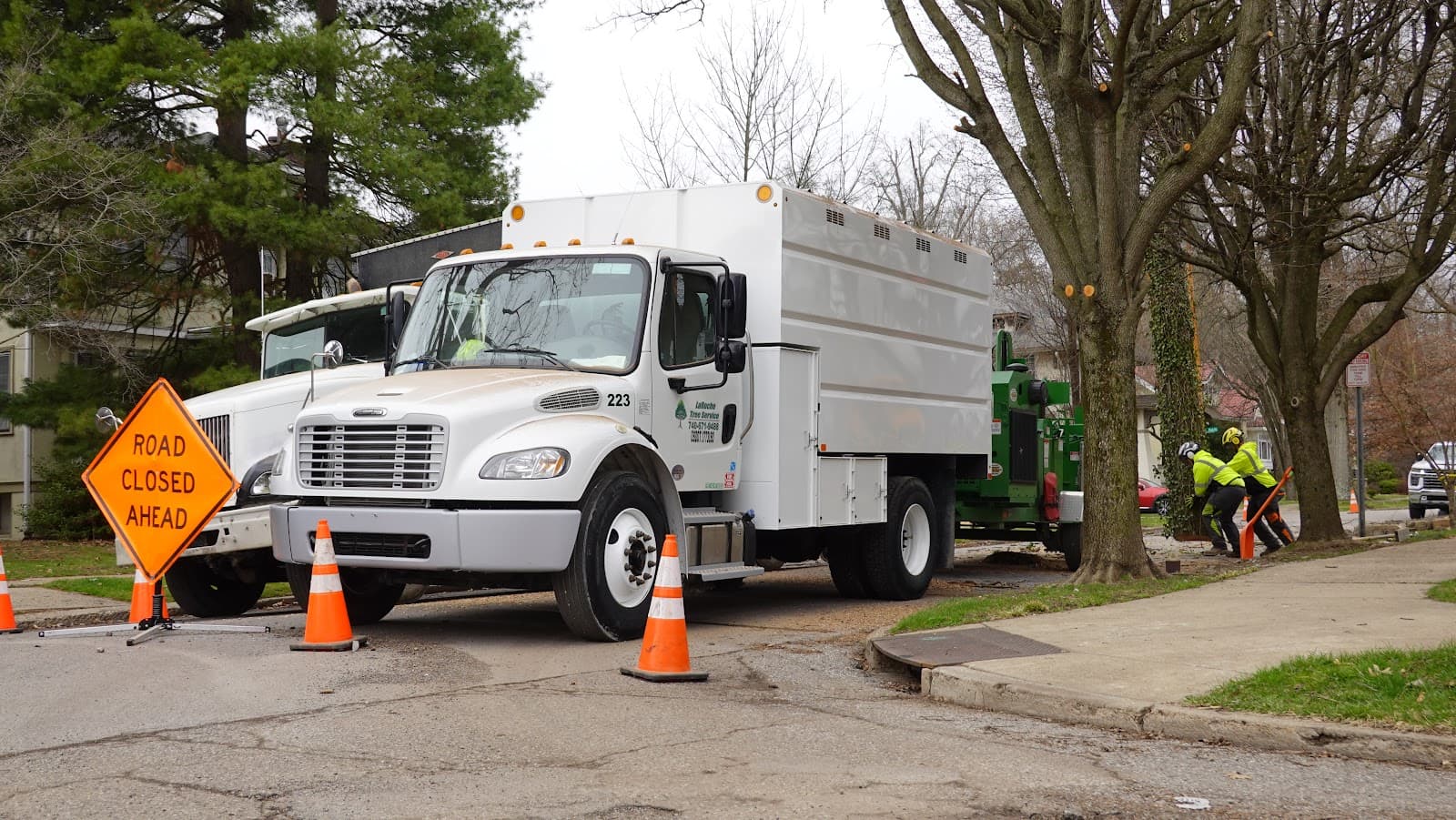 LaRoche Tree Service