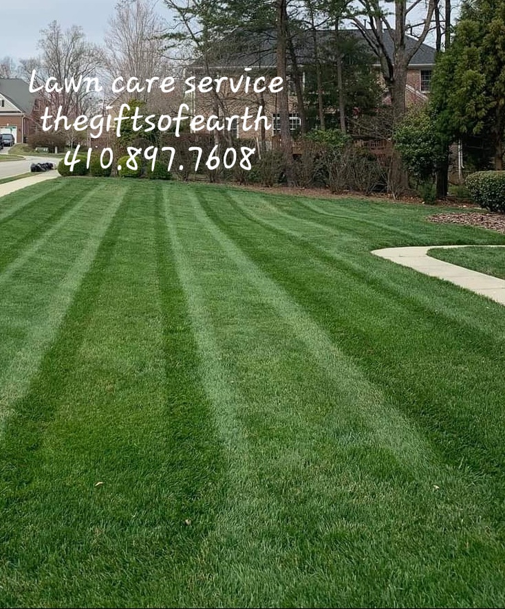 The Gifts Of Earth LLC