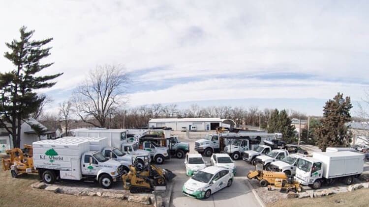 K. C. Arborist