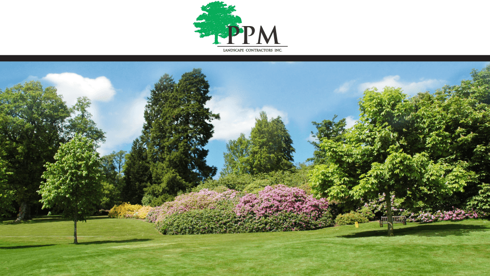 PPM Tree Service & Arbor Care