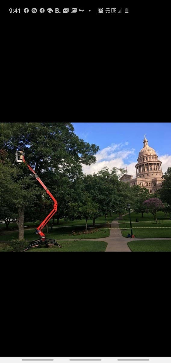 TreeMD Certified Tree Care