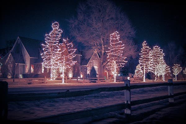 SavATree - Tree Service & Lawn Care