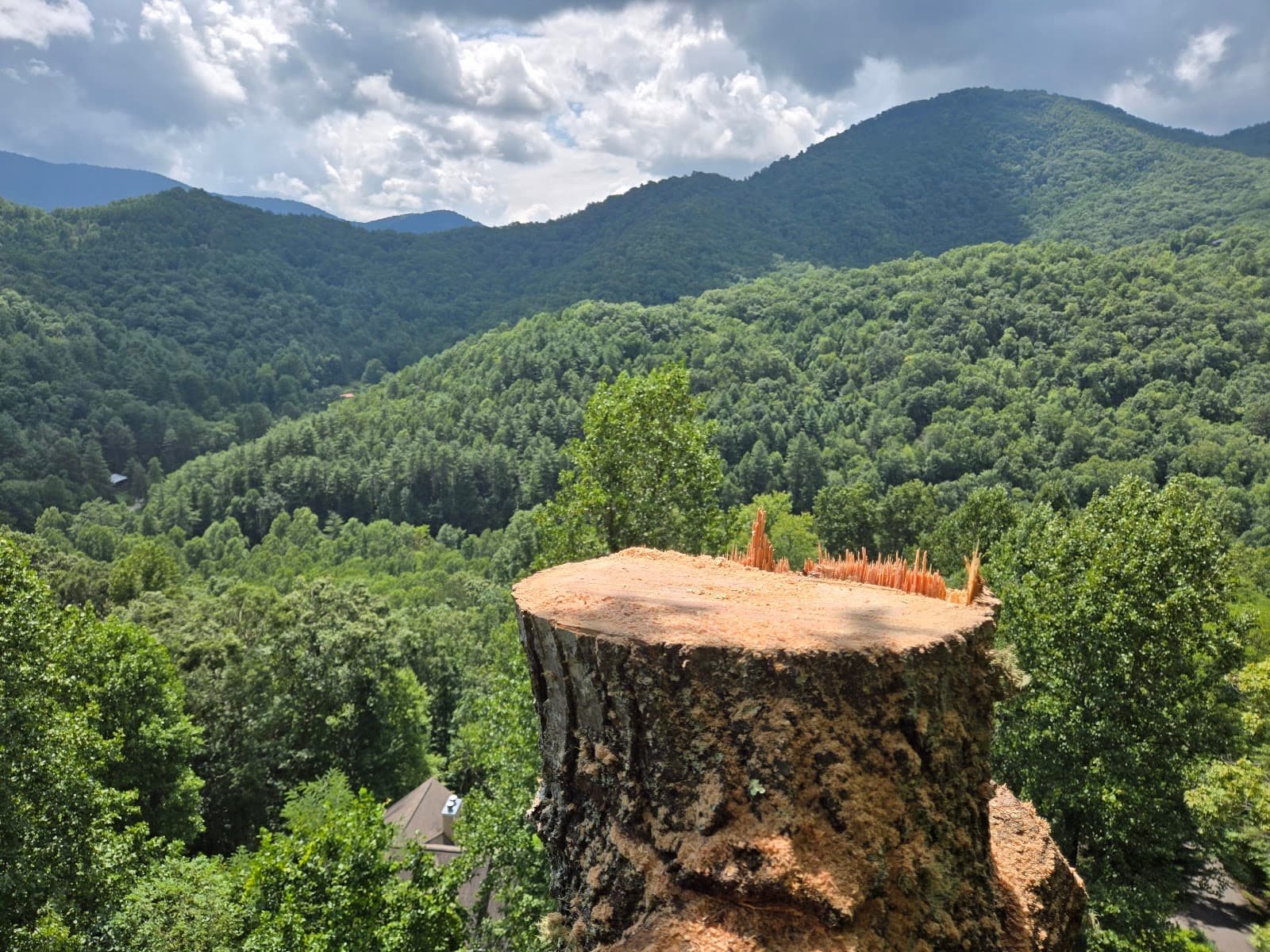 Foggy Mtn. Tree & Land LLC