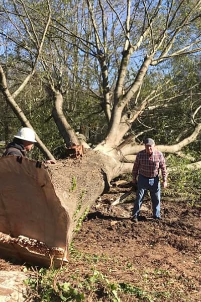 Hollar Brothers Tree Services