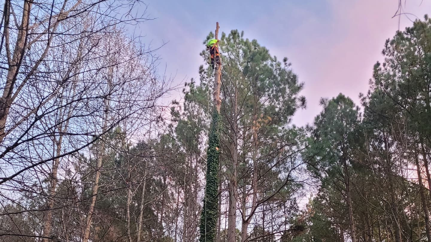 RAM Tree Service LLC