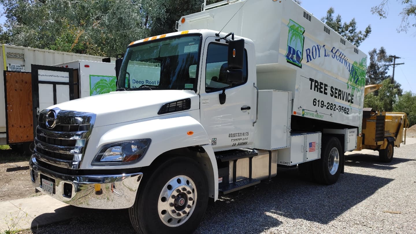 Roy L Schwartz, Arborist and Tree Rescue.