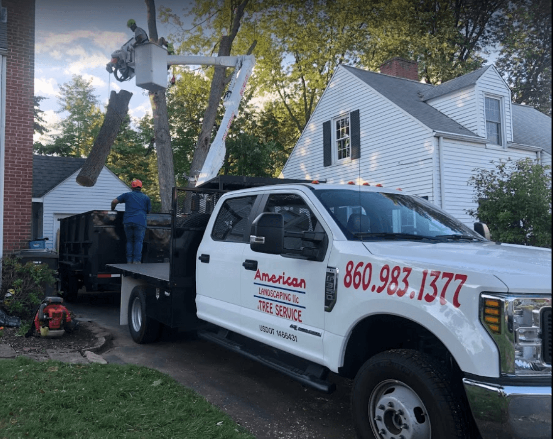 American Landscaping (Tree Service)
