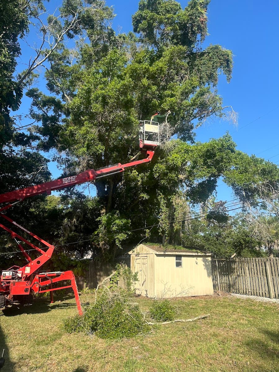 B&T's Tree Service