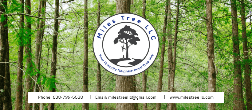 Miles Tree LLC