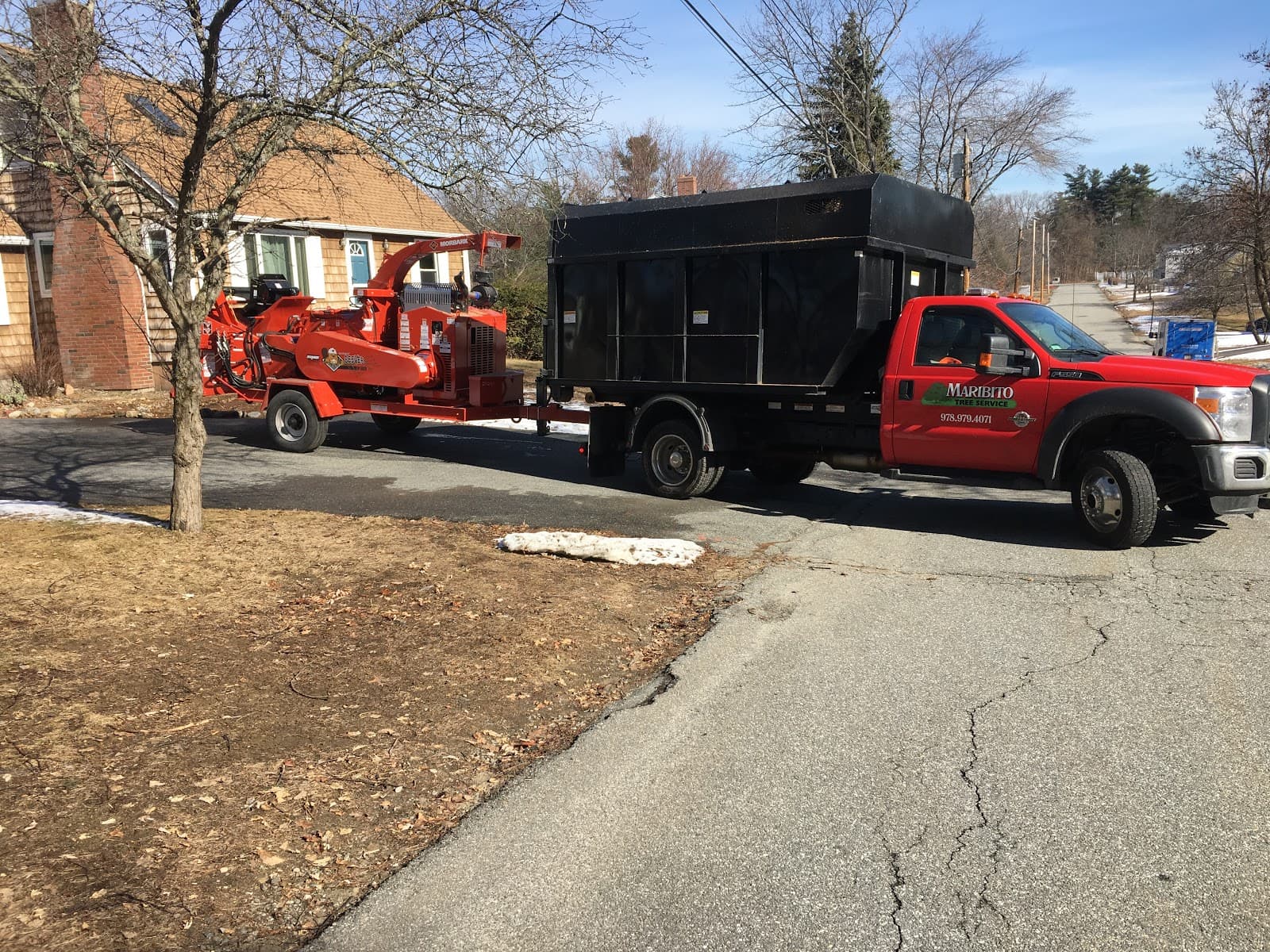 Maribito Tree Services