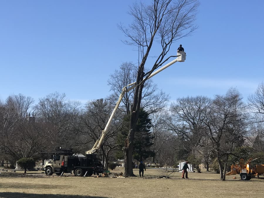 Long Hill Tree & Lawn Care Services