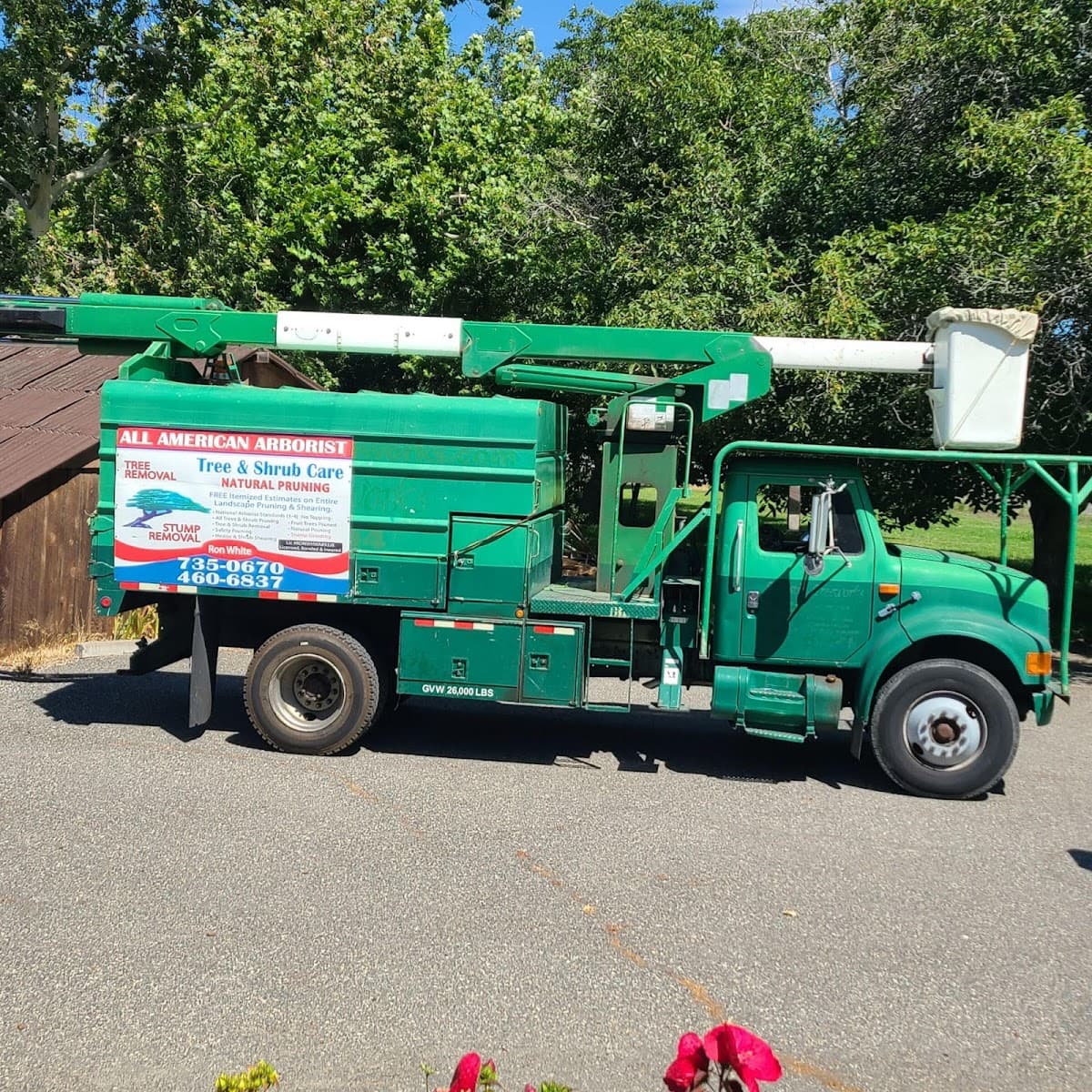 All American Arborist