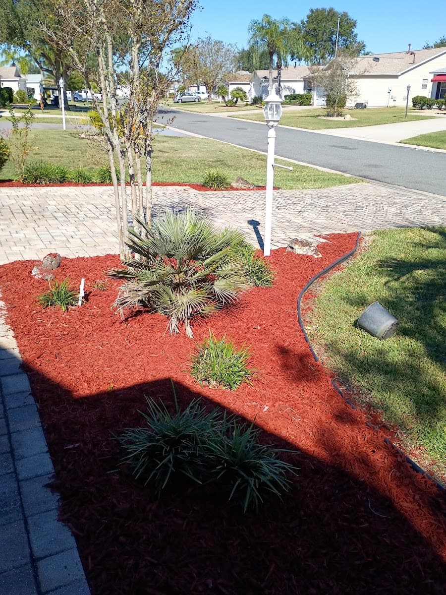 John's Tree and Landscaping