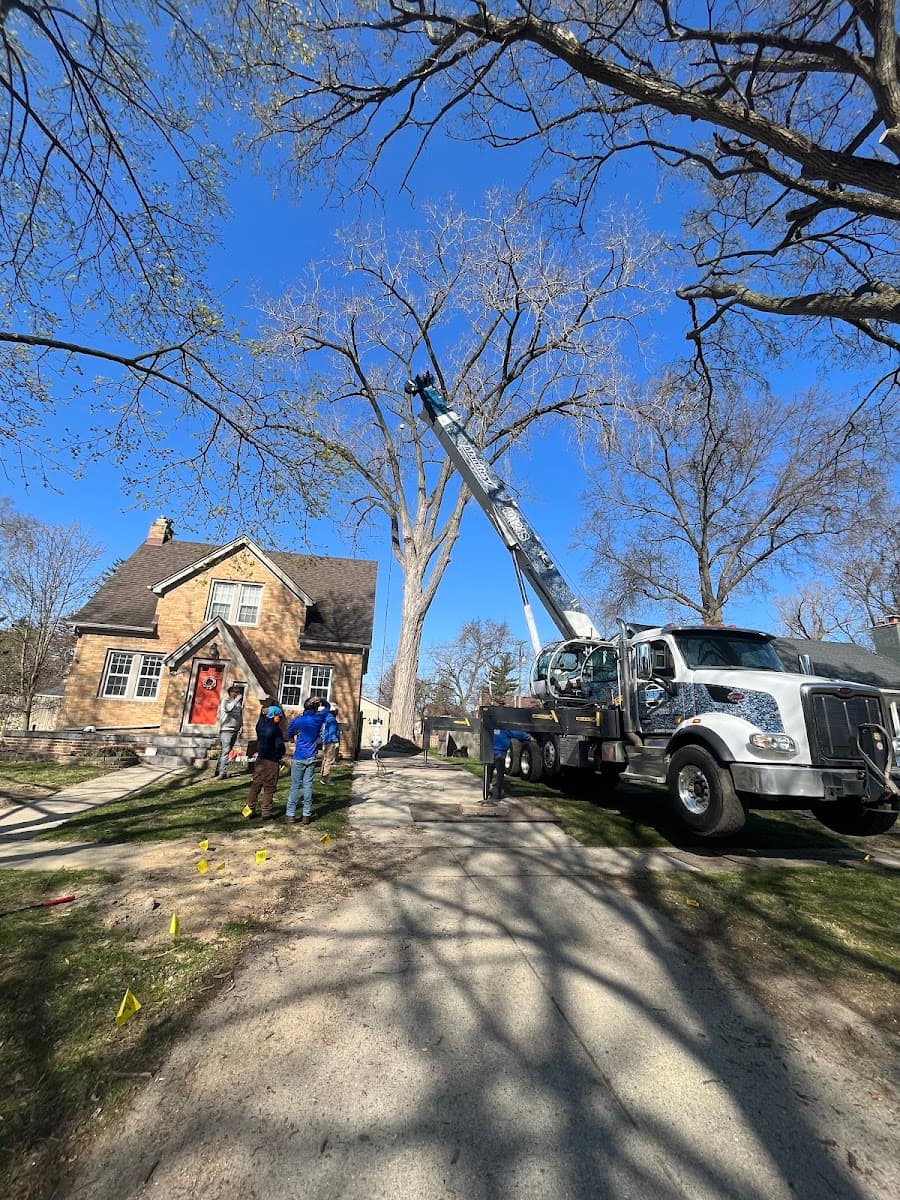 Spears Tree Experts Inc.