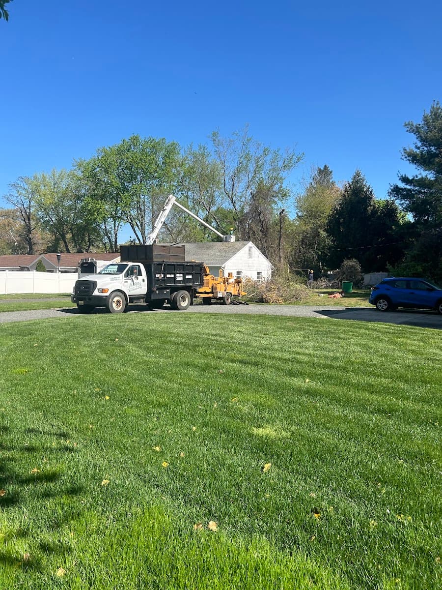 Marin Landscaping and Tree Service