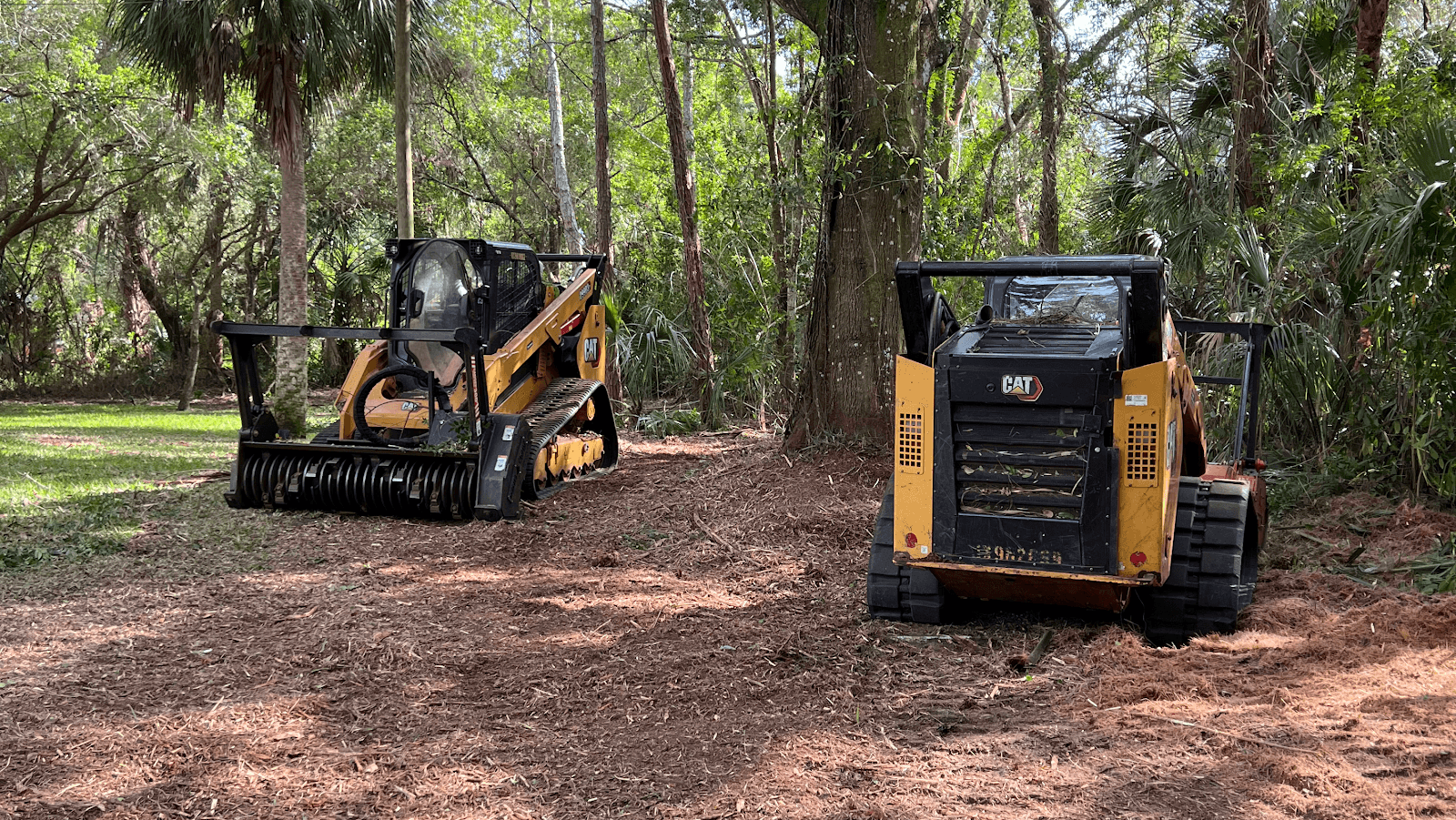 Southern Touch Tree Service and Landscape Management