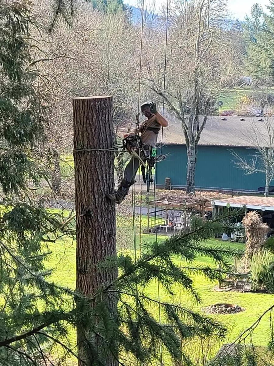 Wild Geese Tree Care LLC