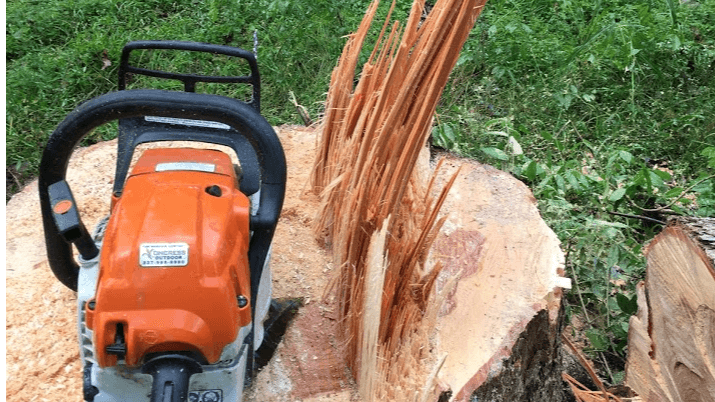 Hub City Tree & Preservation