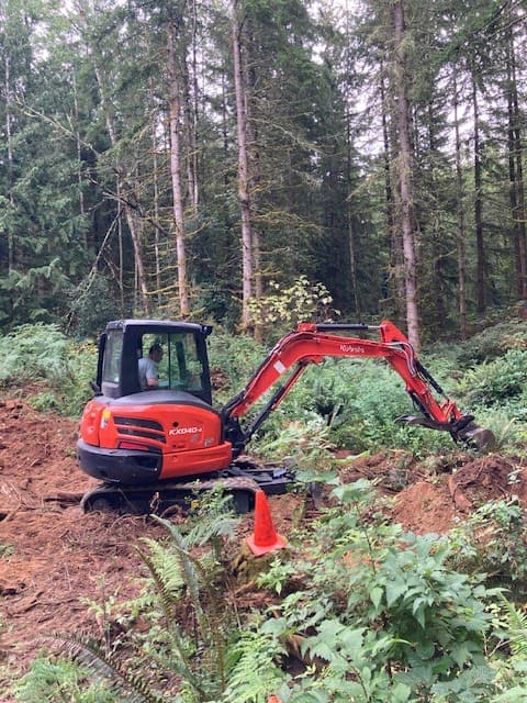 King Stump Grinding and Tree Removal