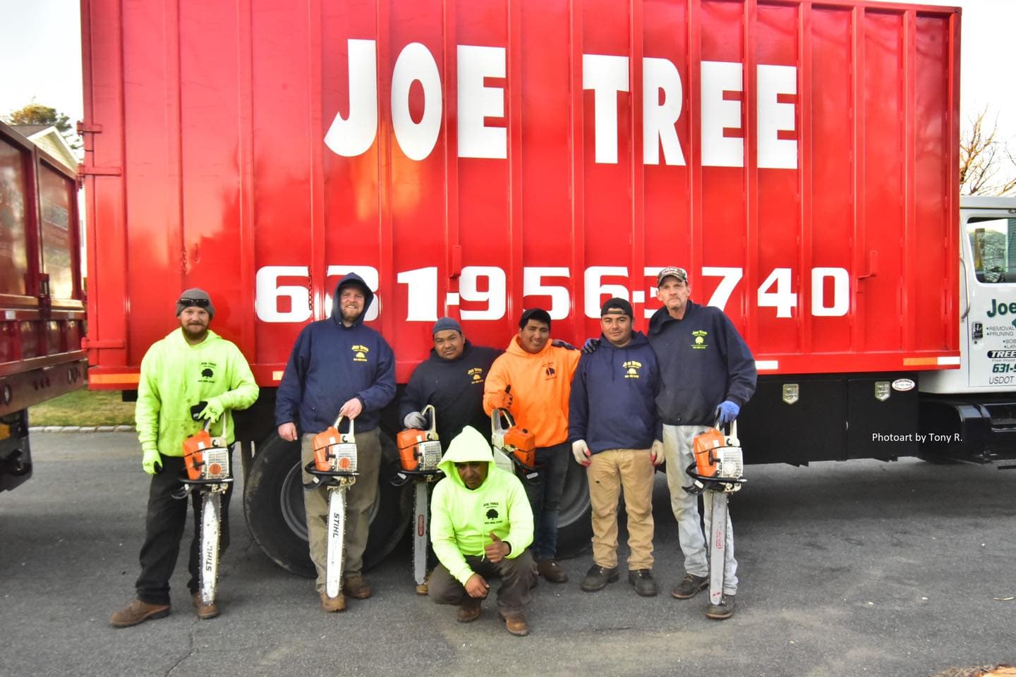 Joe Tree, Tree Service Inc