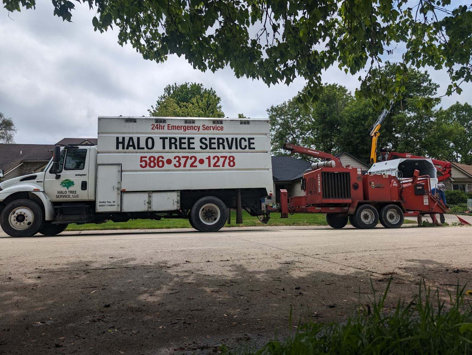 Halo Tree Service LLC