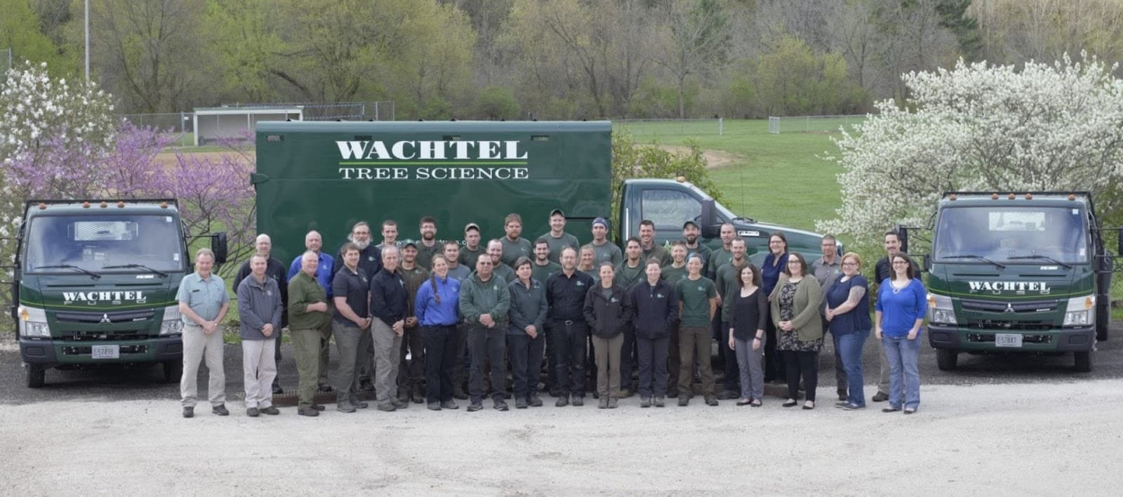 Wachtel Tree Science