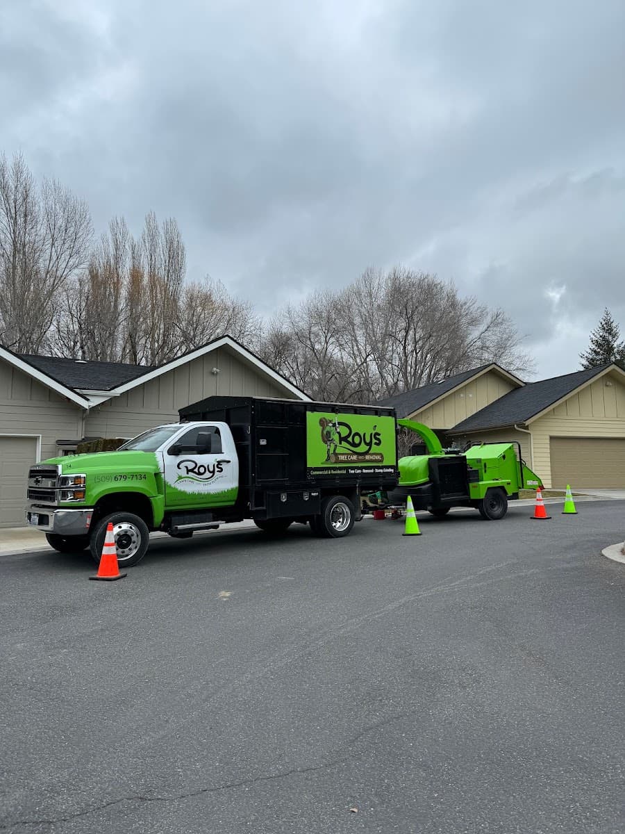 Roy's Tree Care & Removal