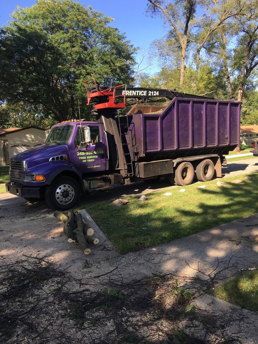 Tree Service of Troy