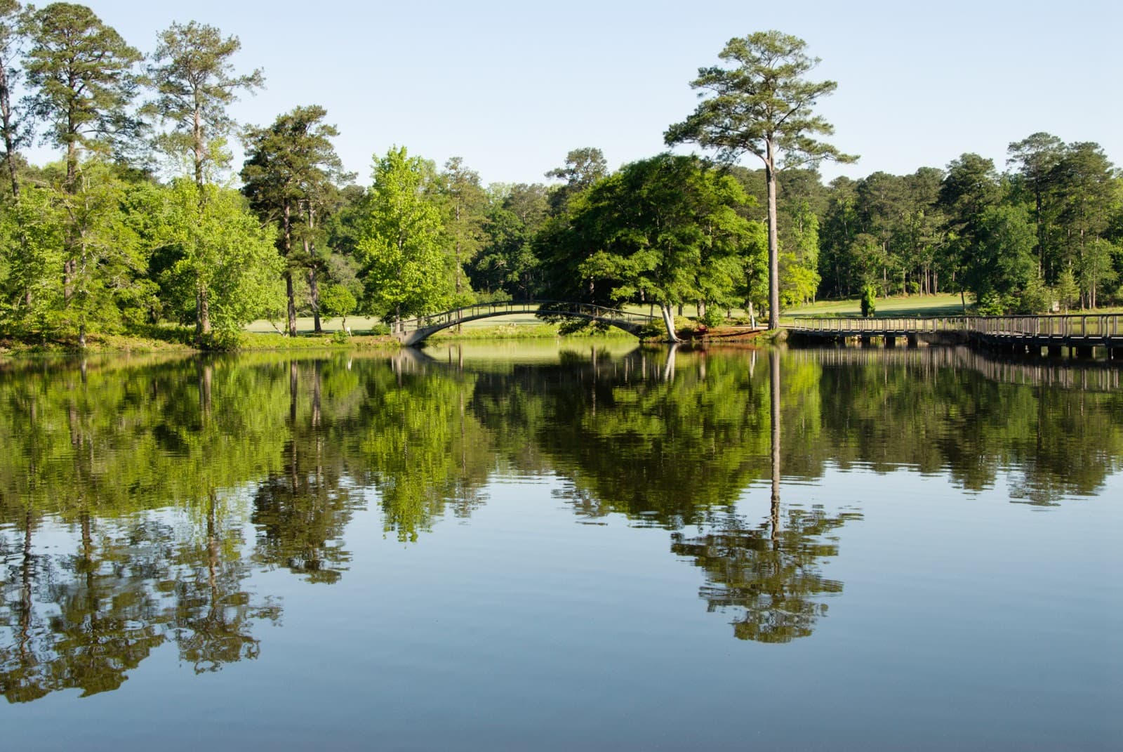 Southern Arbor Source