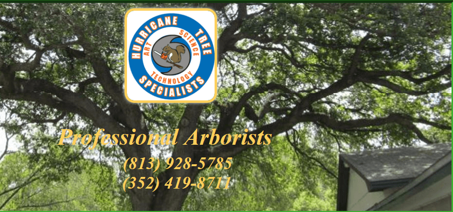 Hurricane Tree Specialists