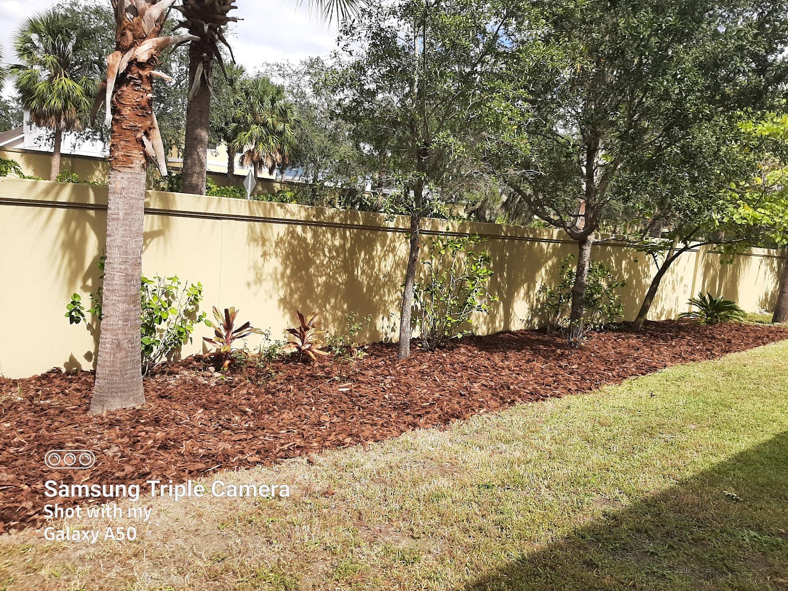 K & C Tree & Shrub Services