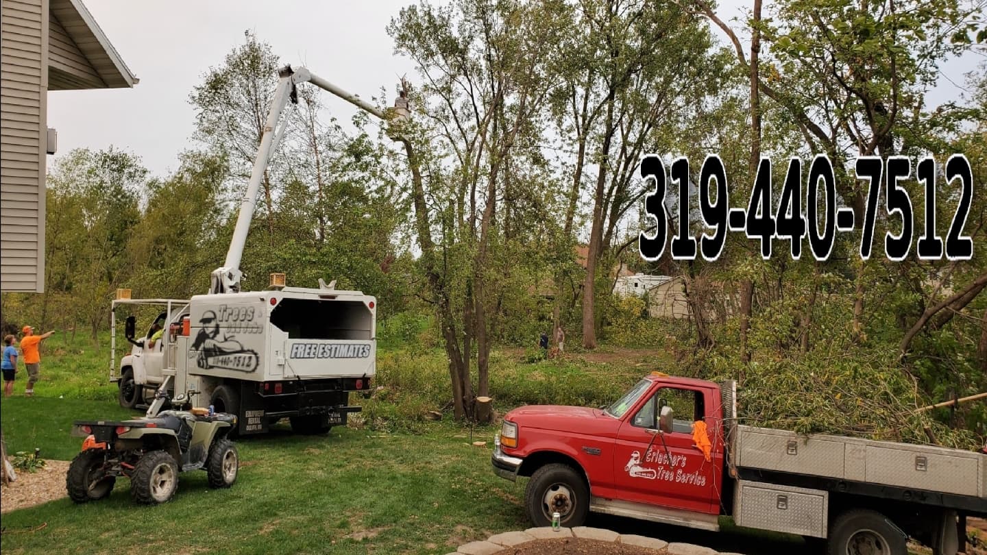 Erlacher's Tree Service.