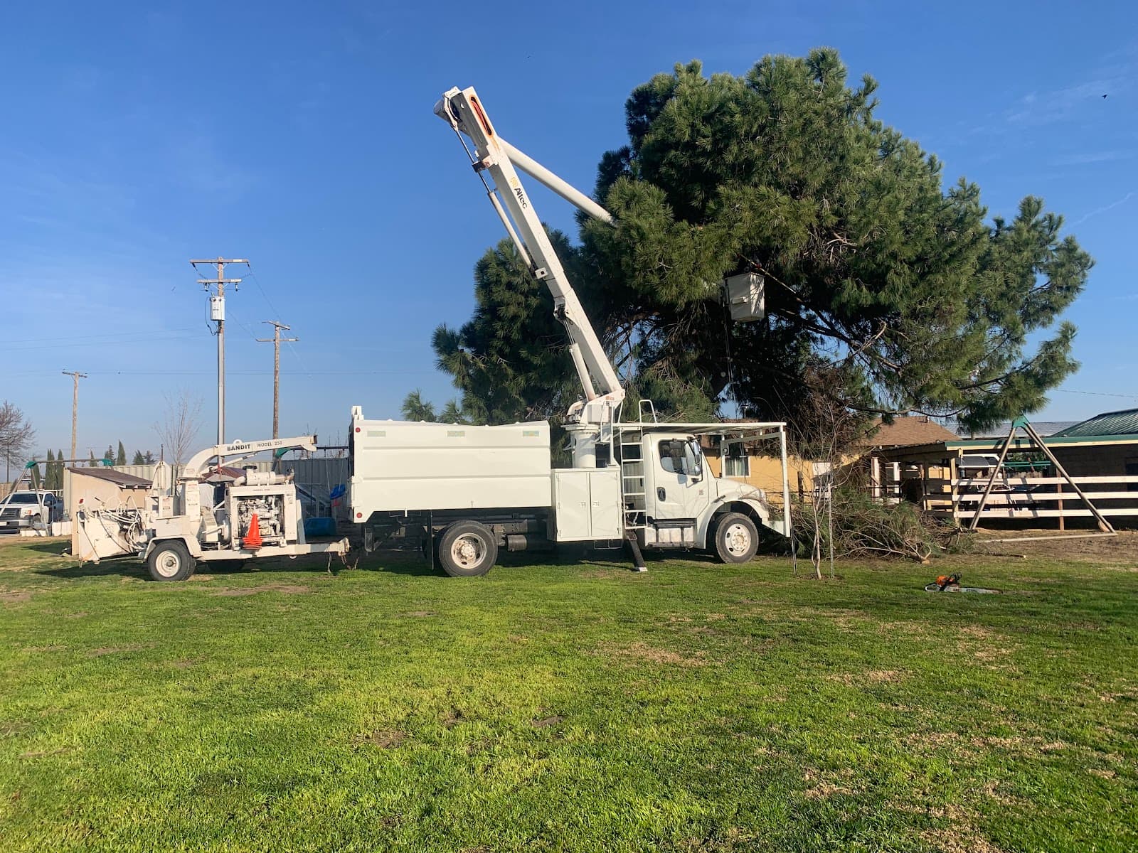 Leon Tree Services Inc