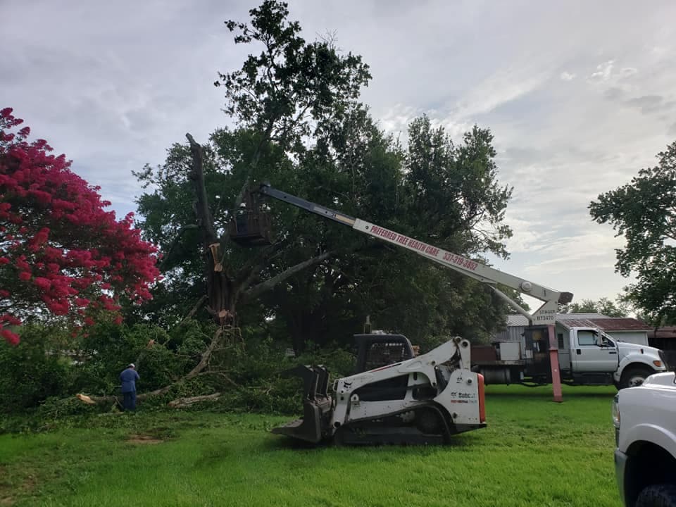 Preferred Tree Healthcare