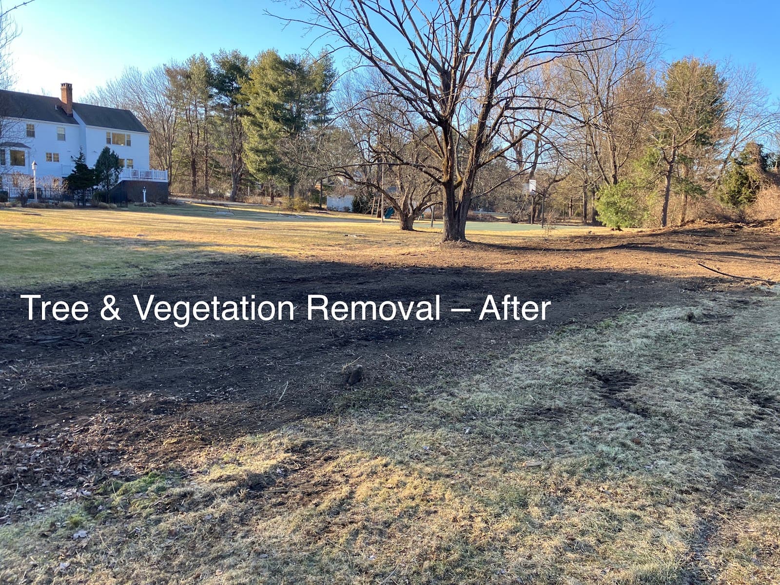 Rosie the Stump Boss