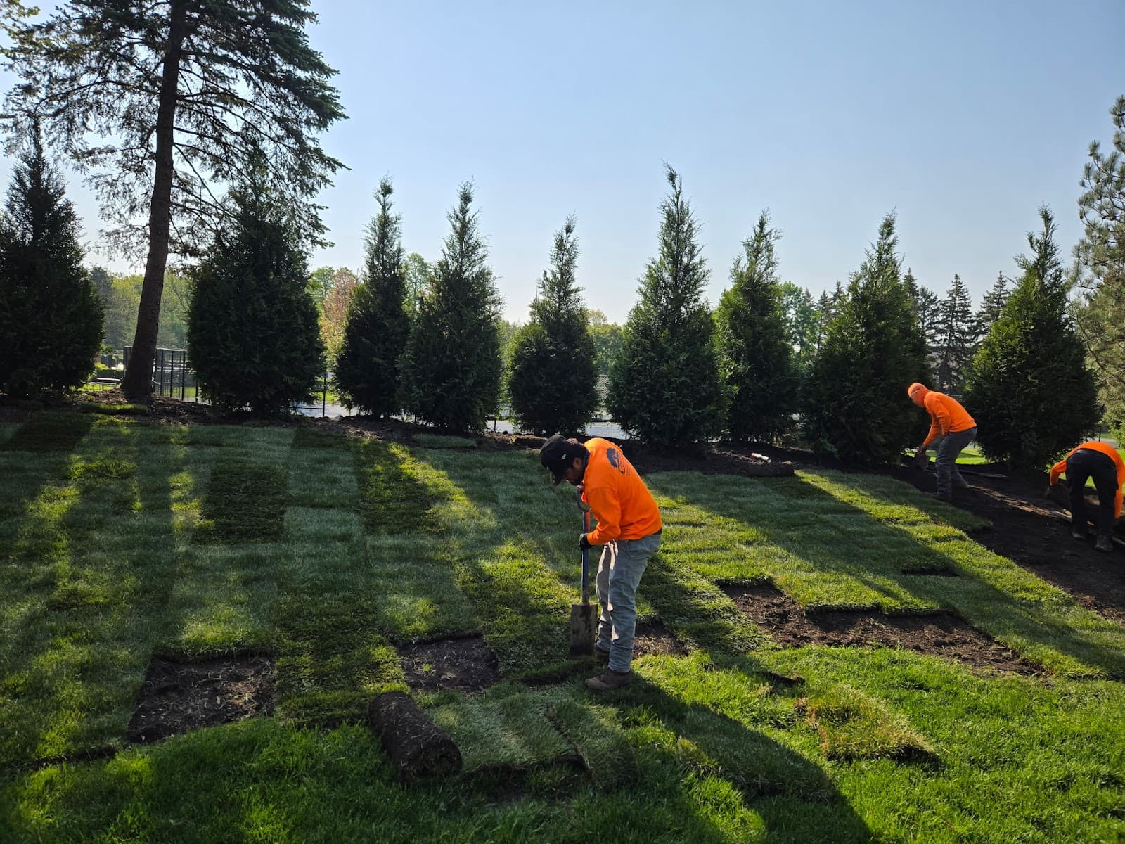 Final Oaks Tree Service Inc.