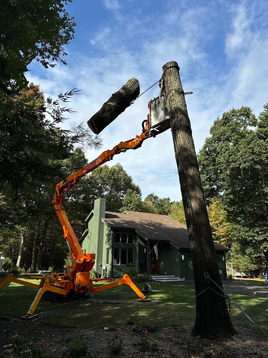 Tall Tree Landscape LLC