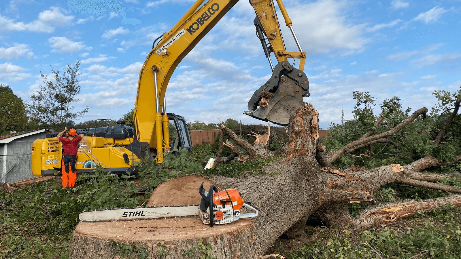 D&M Tree Service Of The Carolinas LLC