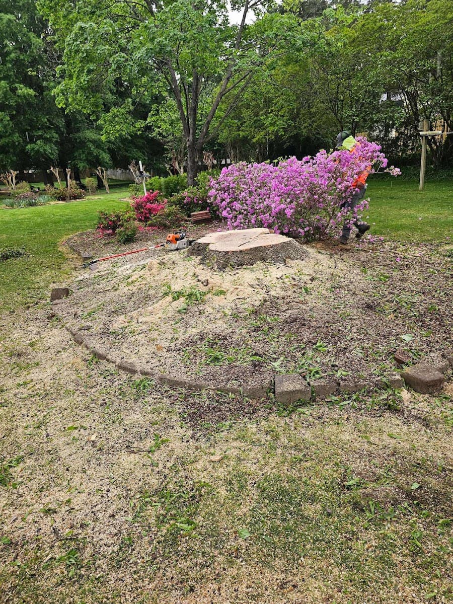 Green Leaves Tree Care Inc