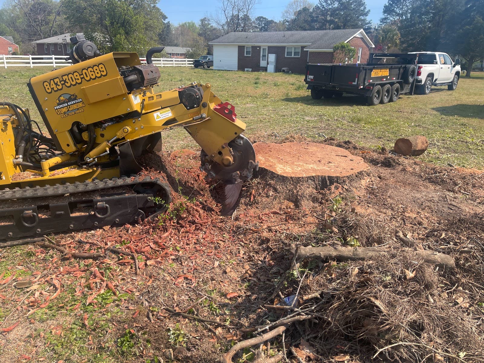 Premier Services Tree & Stump removal