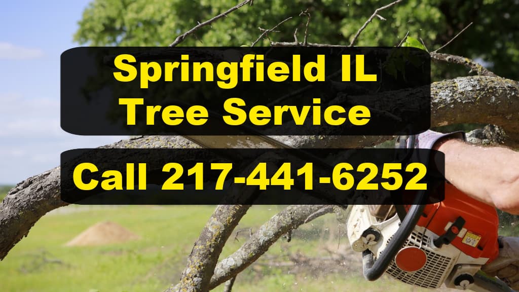 Springfield IL Tree Service